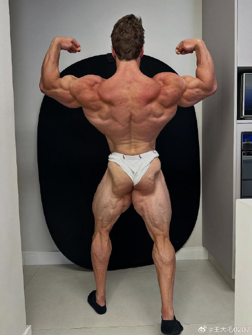 巴西古典冠军Gabriel Zancanelli最新状态